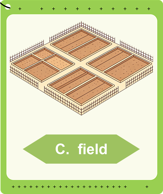 Field
